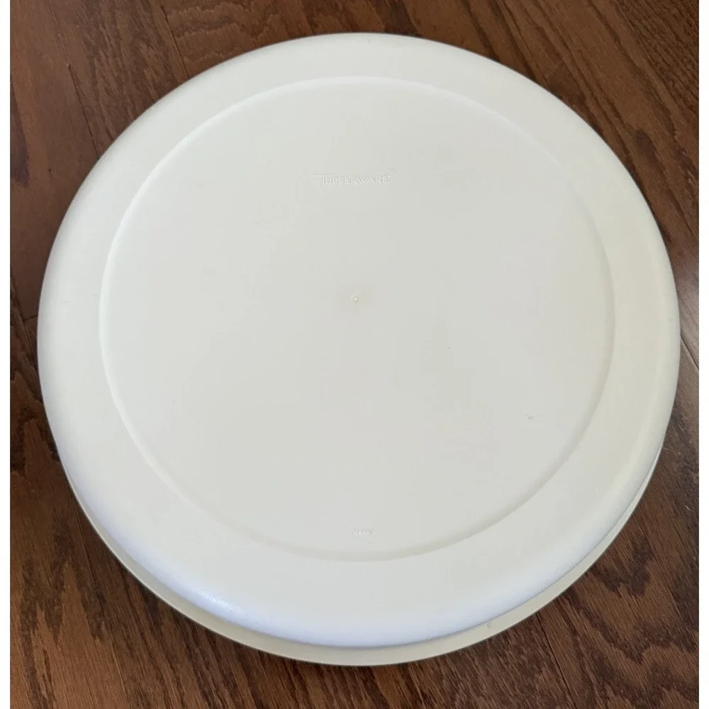 Vintage Tupperware 1665 Veggie Fruit Appetizer Divided‎ Serving Tray Base w/Lid